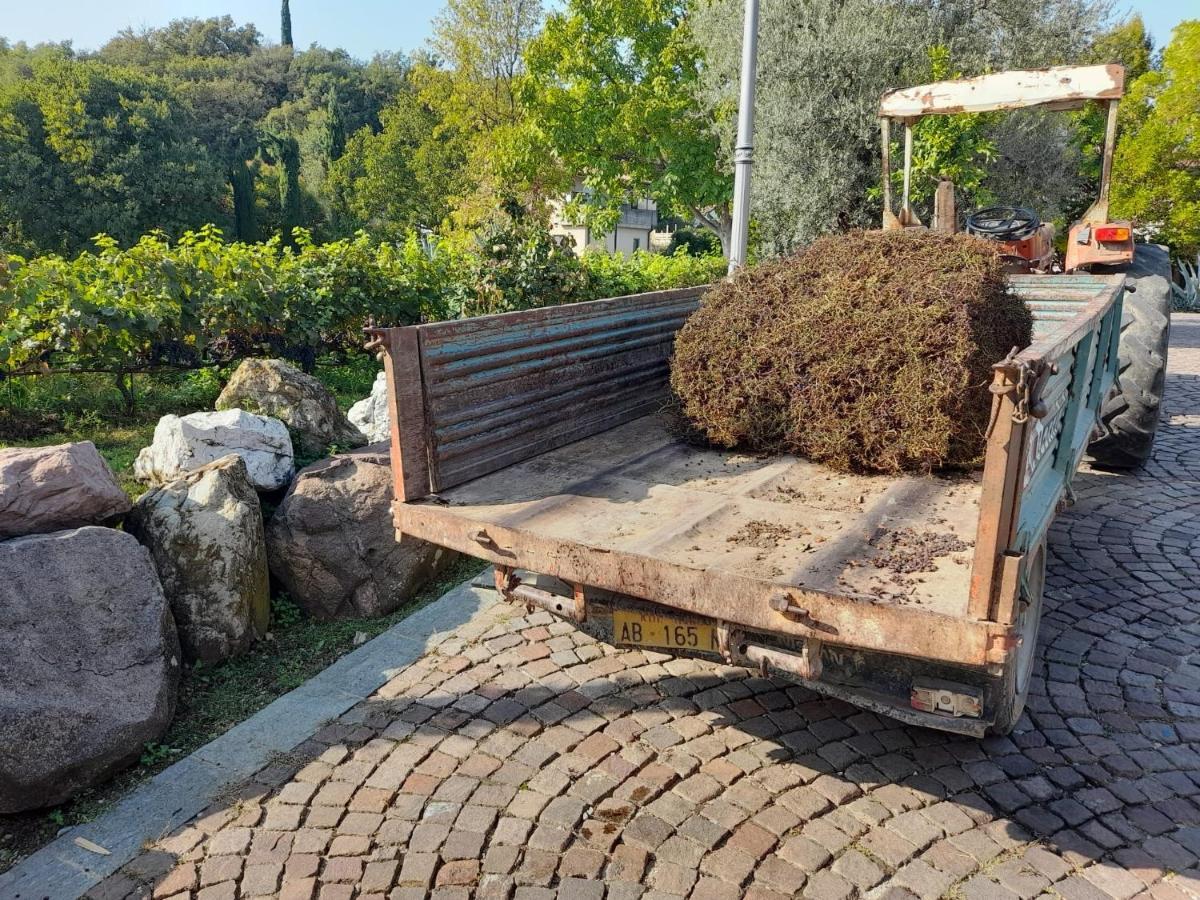 Ferienwohnung Casa El Paso Padenghe sul Garda Exterior foto